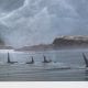 On the Move - Orcas - John Petrella