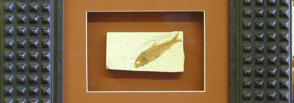 A fossil of a fish is one of the more unusual items that framer Lael Loyd has framed at Wenaha Gallery.