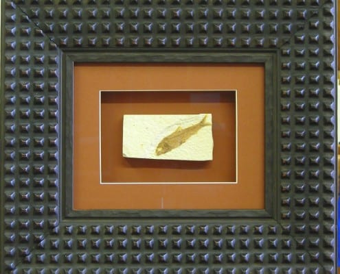 A fossil of a fish is one of the more unusual items that framer Lael Loyd has framed at Wenaha Gallery.