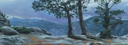 Yosemite Landscape - Stephen Lyman