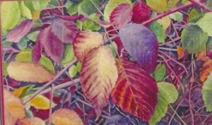 Autumn Leaf Fantasy by Randy Klassen