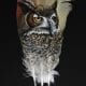 Great Horned Owl painting on feather, by Wenaha Gallery guest artist Deborah Otterstein