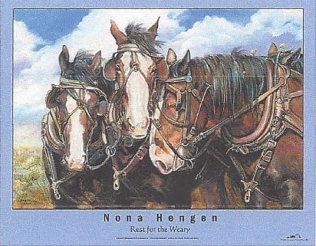 Rest for the Weary - Nona Hengen