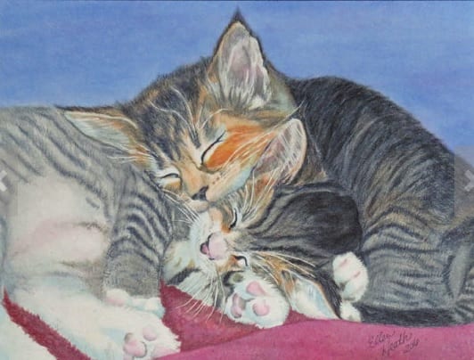 two kittens cats snuggling family pet ellen heath dixie watercolor painting