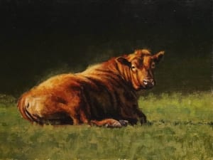 herdsire cow bull livestock cattle Montana rancher's dreams tobias sauer western art