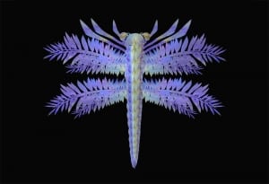 dragonfly delight purple insect fractal art photography debbie lind wallowa artist