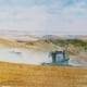 Harvest in the Palouse