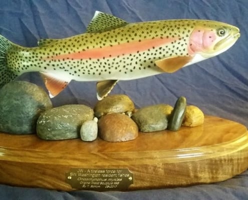 rainbow trout fish carved wooden sculpture art tom schirm