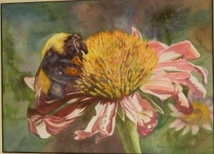 exhibit bee watercolor flower insect vogtman