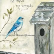 Shawna Wright - Watercolor Cards