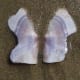 shell butterfly beach coast sand doug paulson details photograph