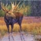 moose wildlife animal western art james reid