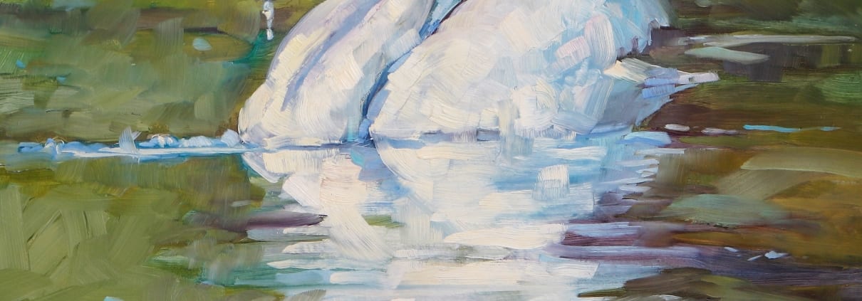 water dance swan bird painting impressionist relaxed not uptight