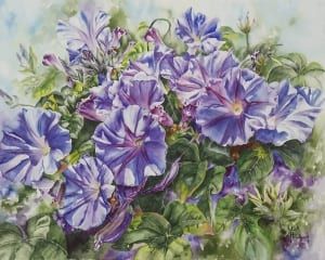 morning glory floral flower maverick watercolor painting lisa hill