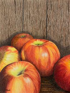 Apples fruit red delicious colored pencil painting cheryl bush