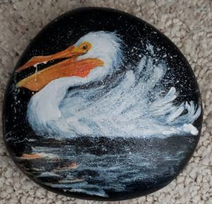 pelican bird swimming rock painting nancy gresham