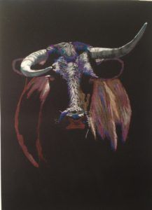 bull horns portrait cattle animal livestock rodeo rowdy barry